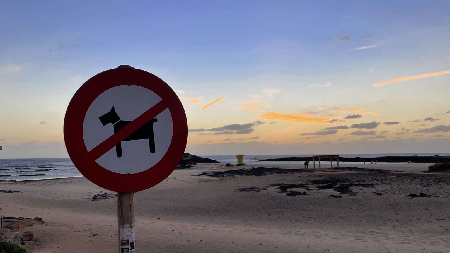Reisen mit Hund - Kanaren Hund am Strand verboten