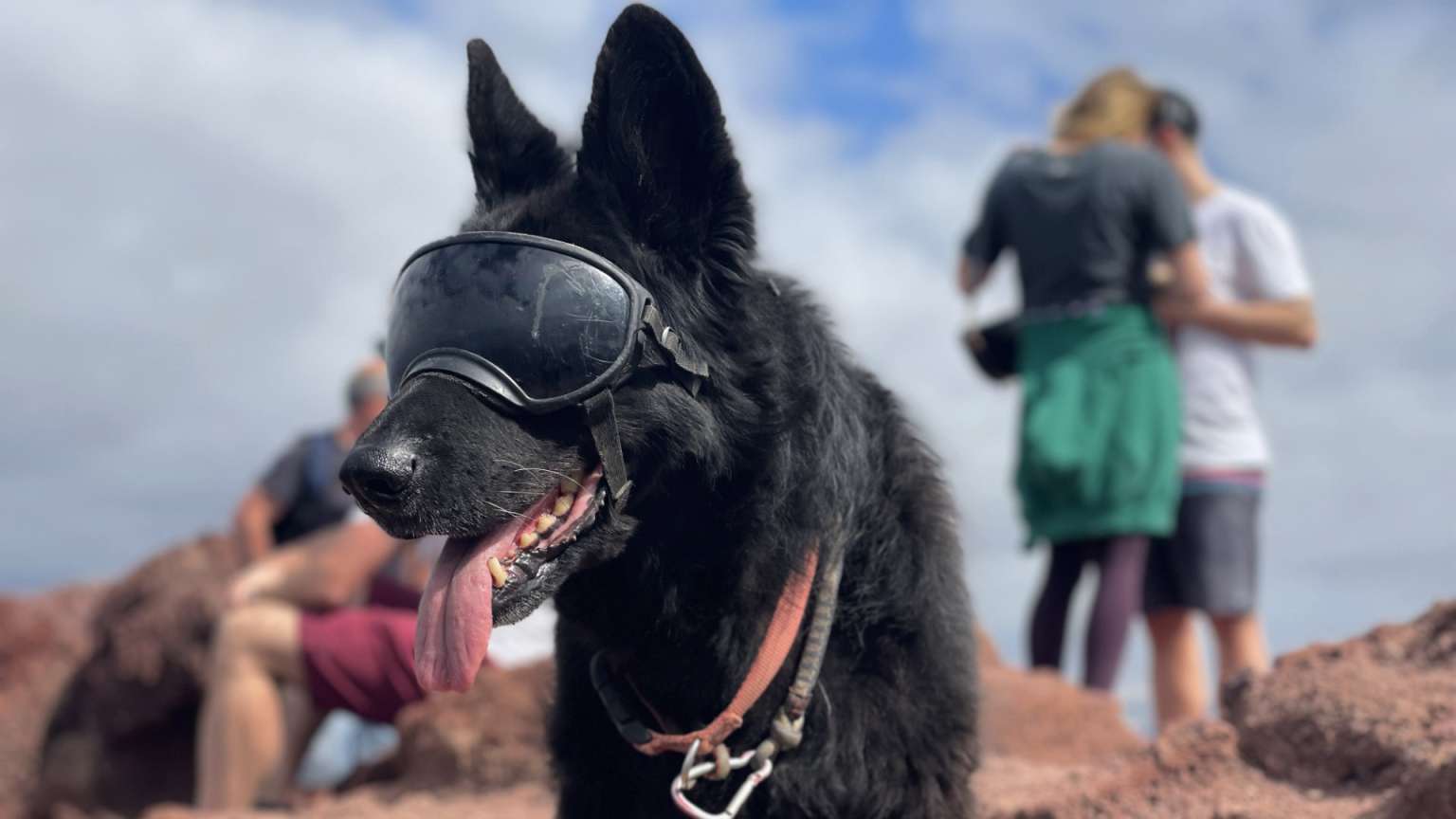 Reisen mit Hund - Ausflug in Teneriffa auf den Montana Roja