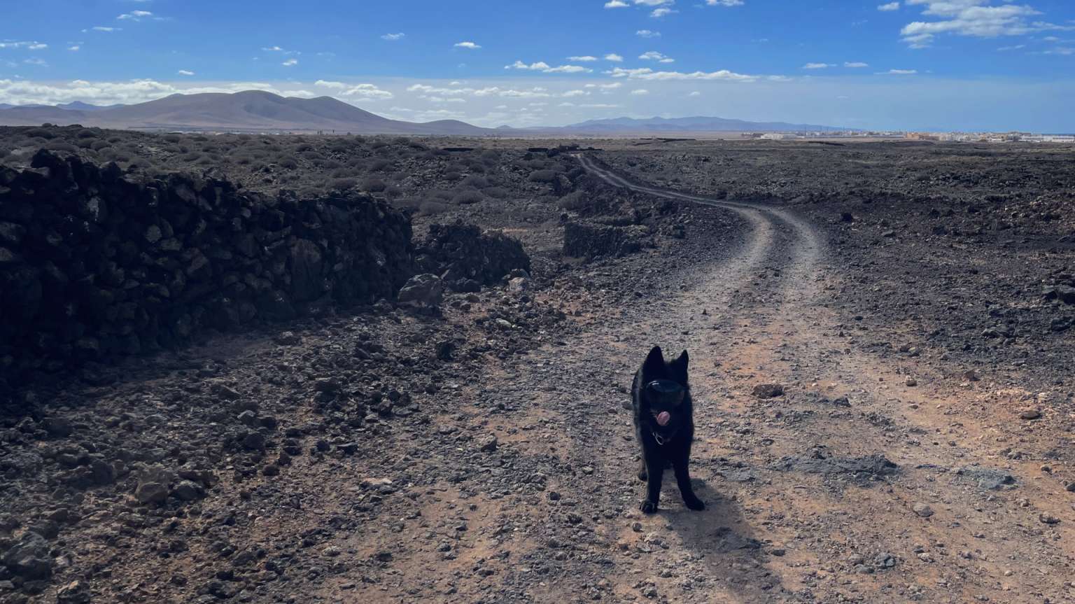 Reisen mit Hund - Wandern auf Fuerteventura