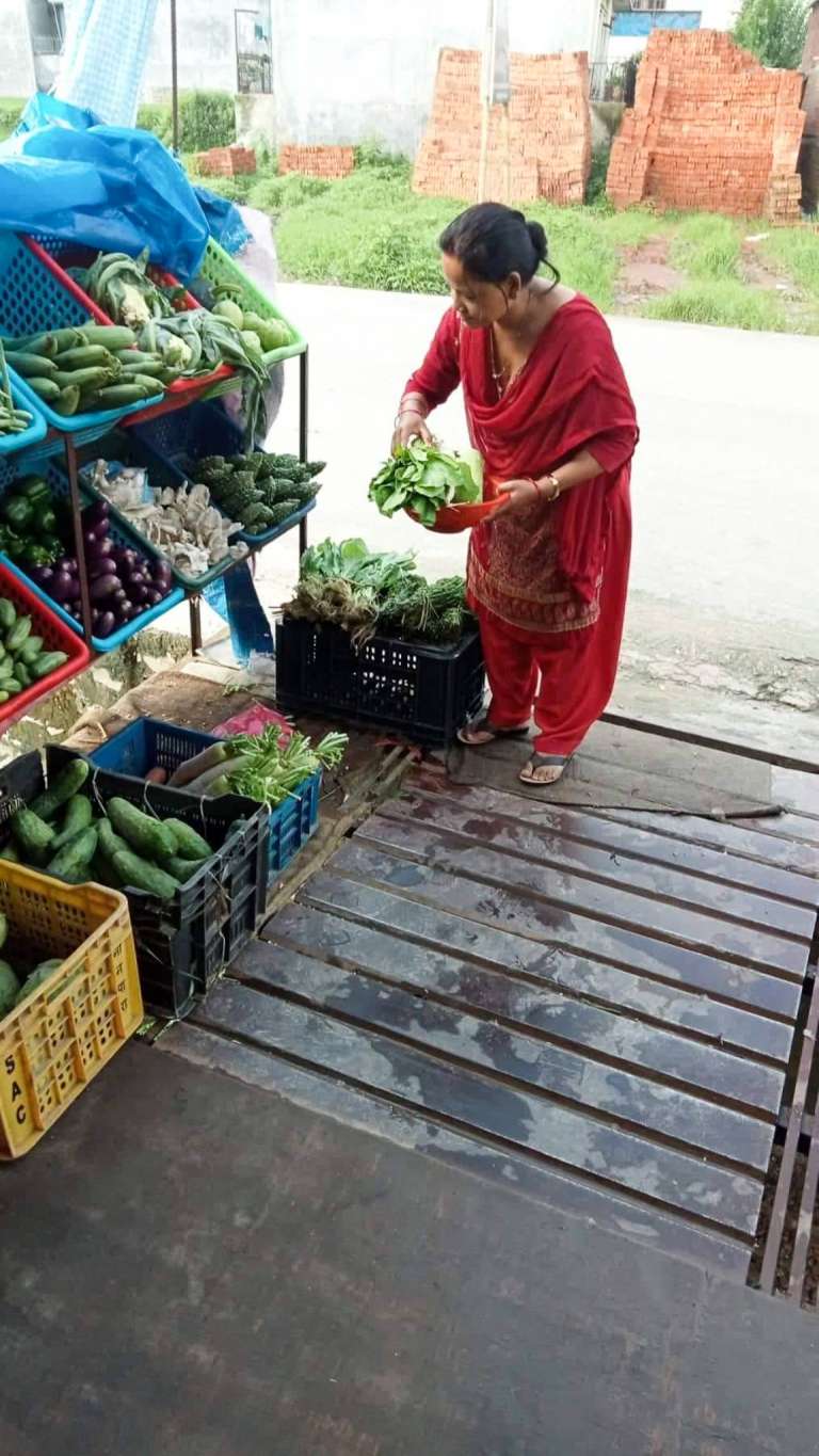 Eine Frau Betrachtet An Einem Gemüsestand Die Ausgestellte Ware