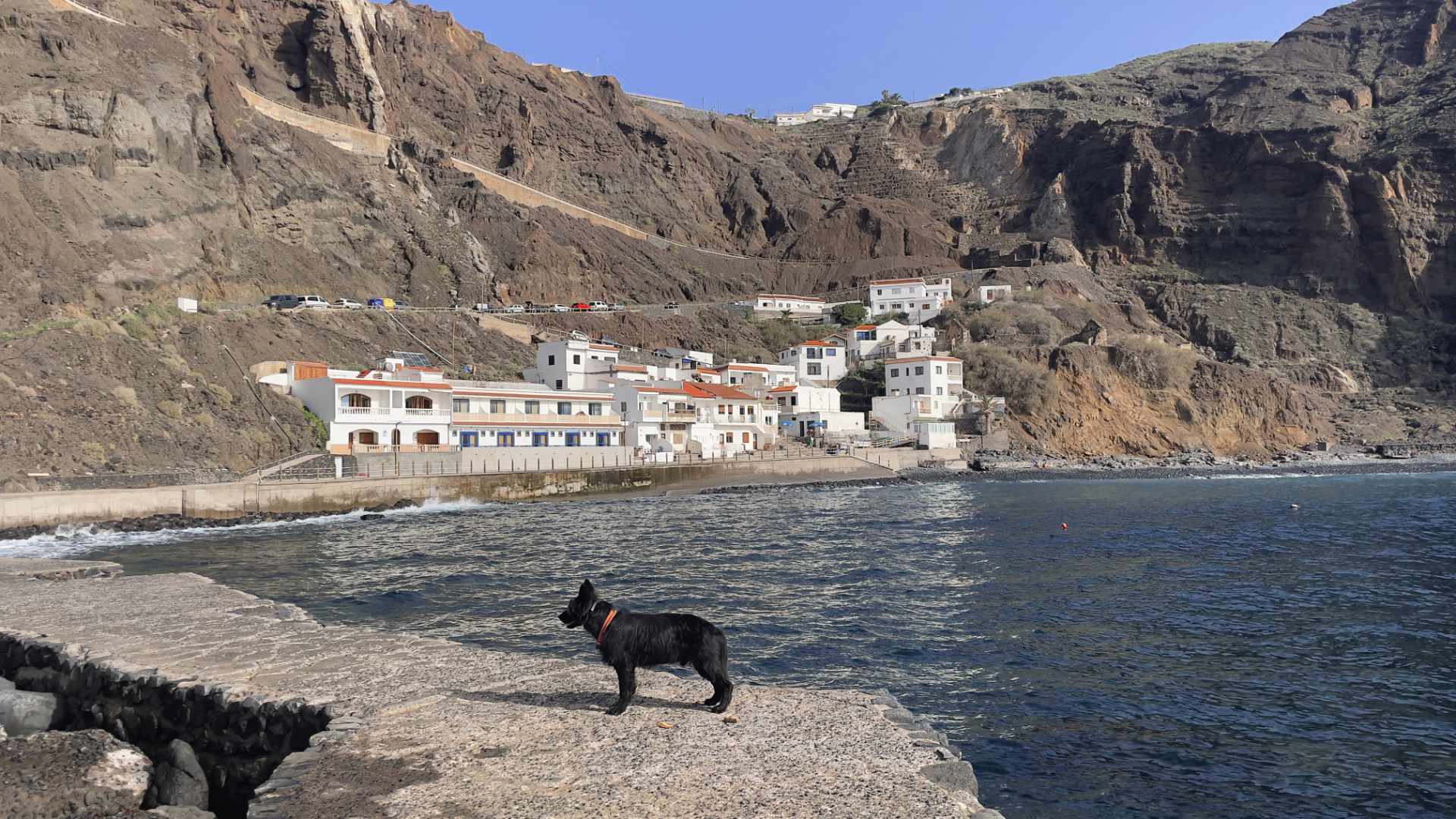 La Gomera - Playa Alojera - Strand mit Hund