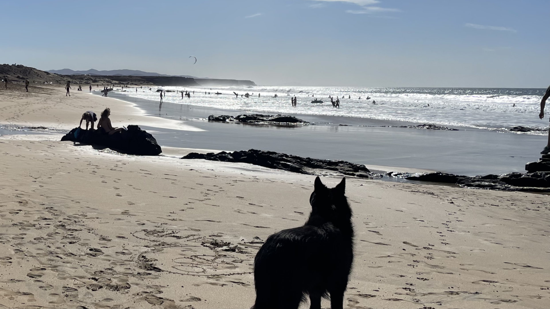 Erfahrung mit Hund auf Fuerteventura - Am Strand Piedra Playa