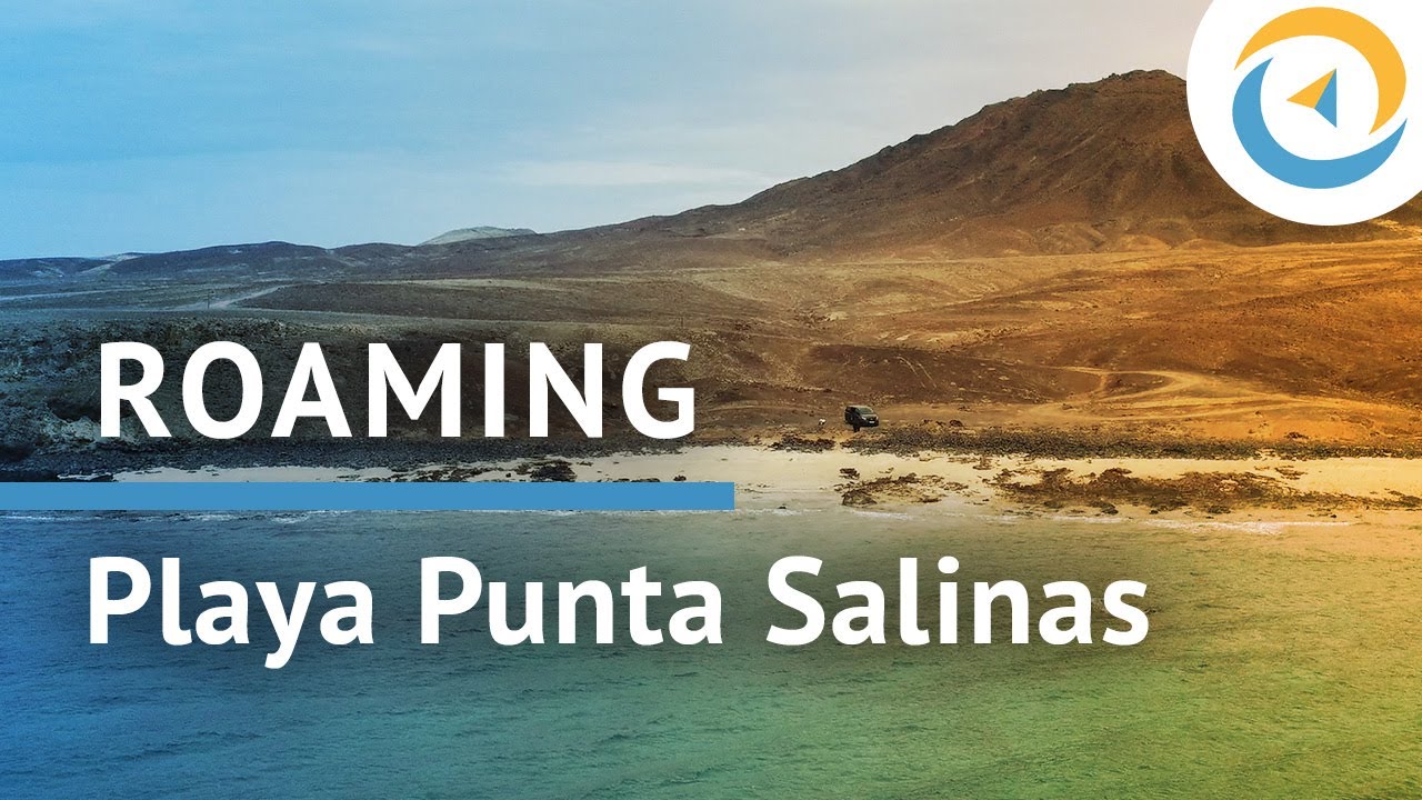 Video Playa Punta Salinas