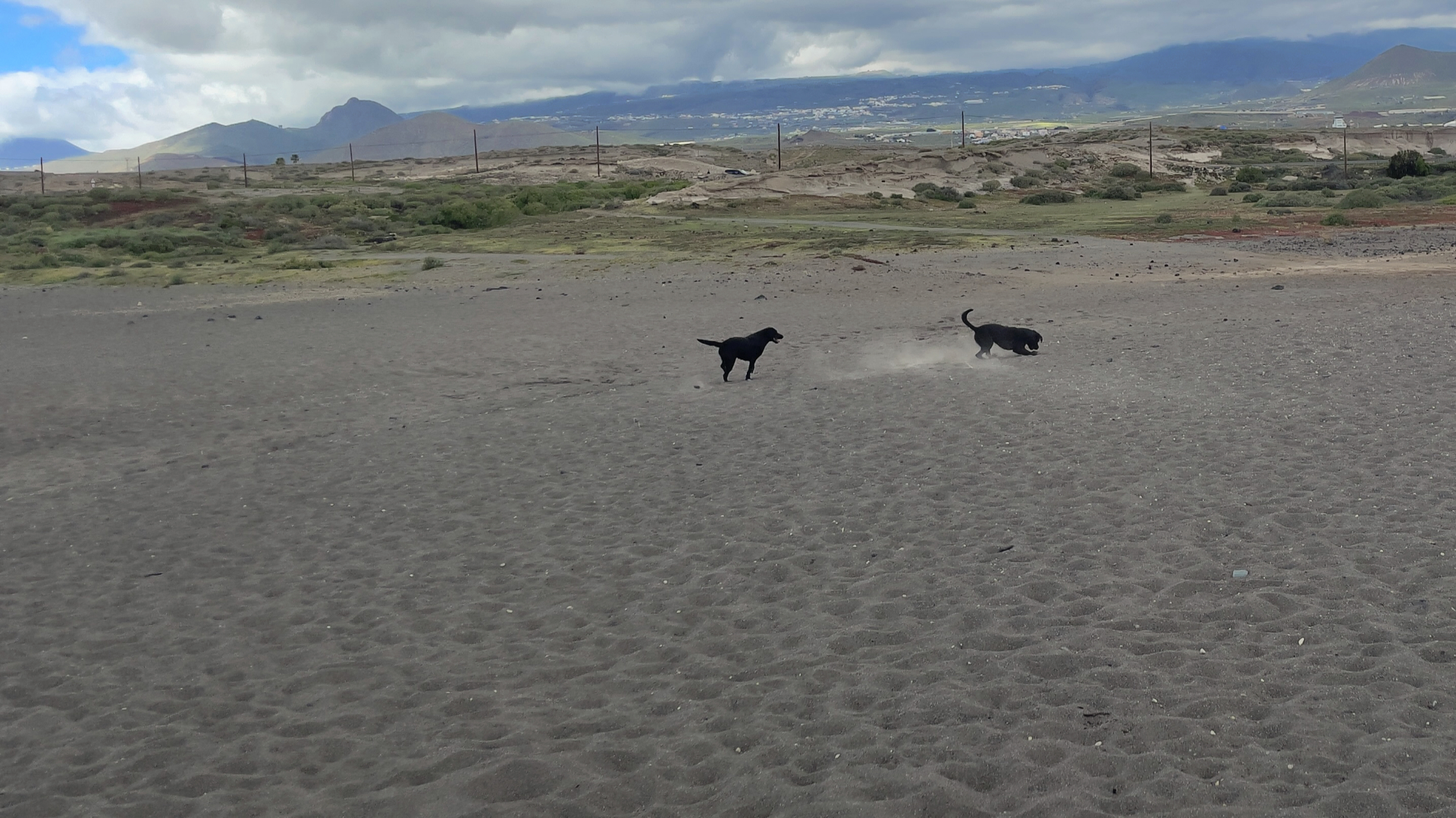 Playa El Horno - Hunde frei laufen